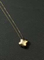 پلاک ونکلیف - 2