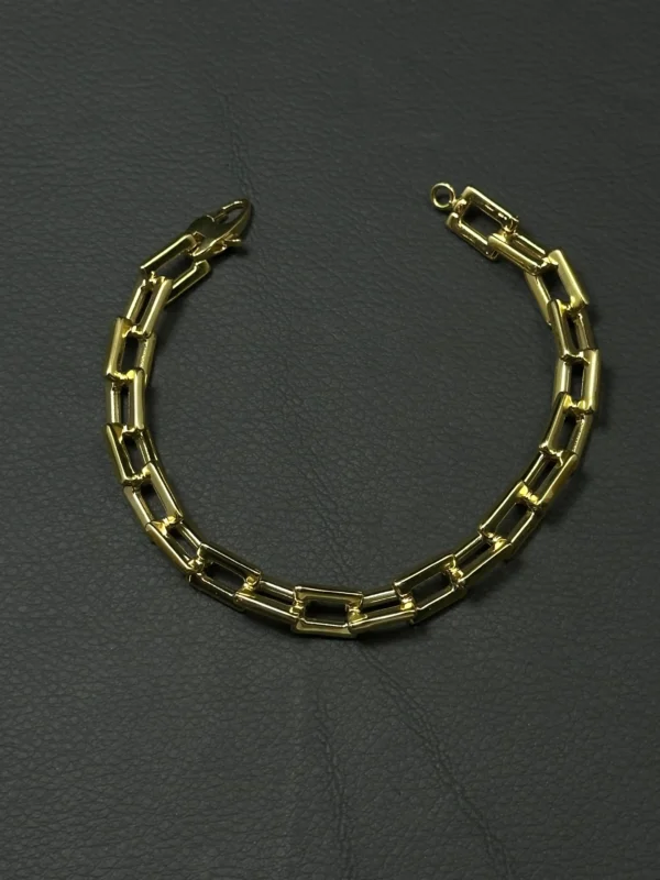 دستبند دیپلمات - 1
