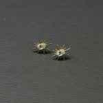 گوشواره نور