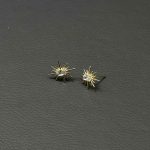 گوشواره نور