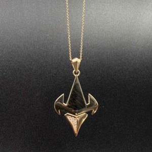 پلاک شهاب مینا