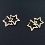 گوشواره ستاره نگین دار